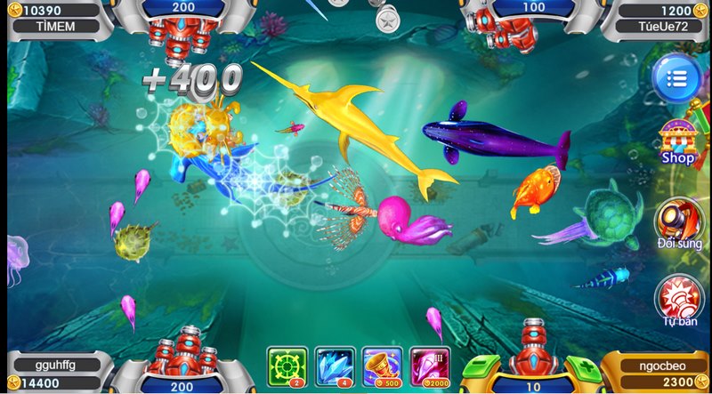 Phòng sơ cấp mang tới thế giới đại dương phong phú, nhiều cơ hội cho ngư thủ