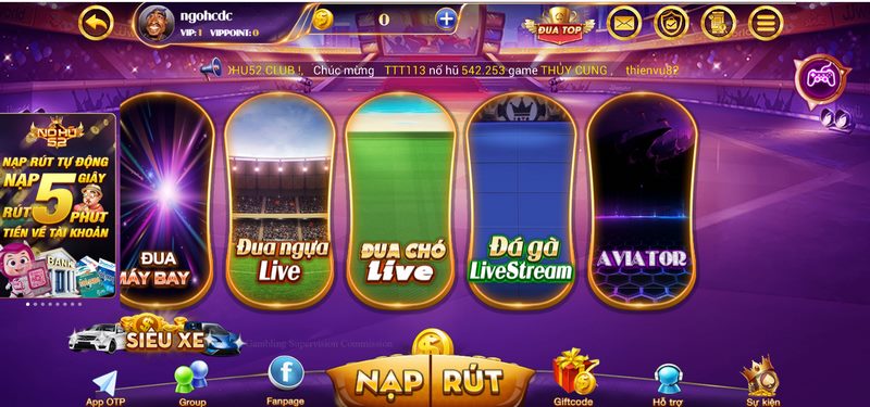 Các sảnh live  ở cổng này đảm bảo người tham gia thấy ấn tượng 