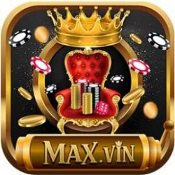 Max Vin Logo